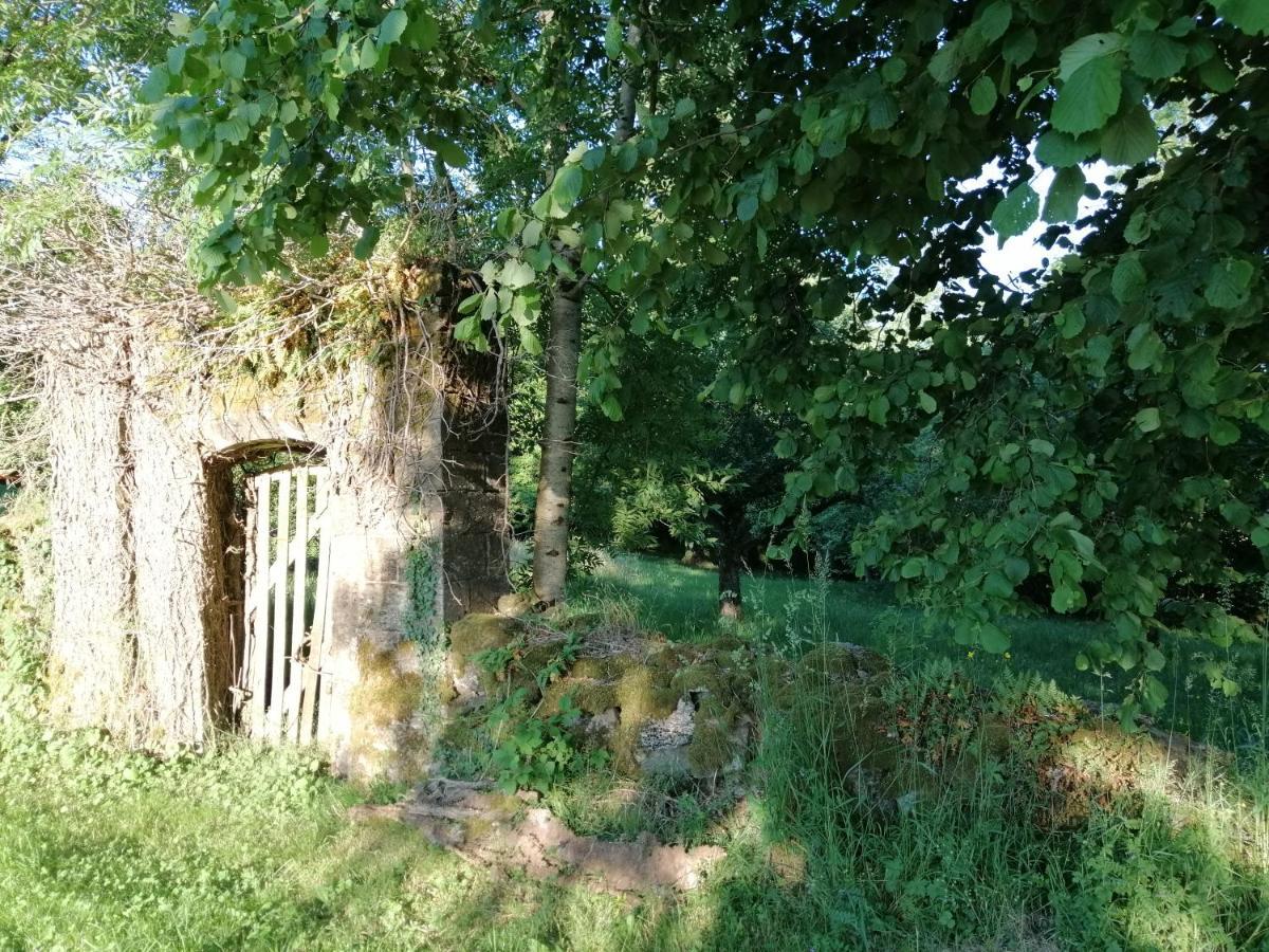 Le Miraillet, Gite Saint-Illide Eksteriør billede